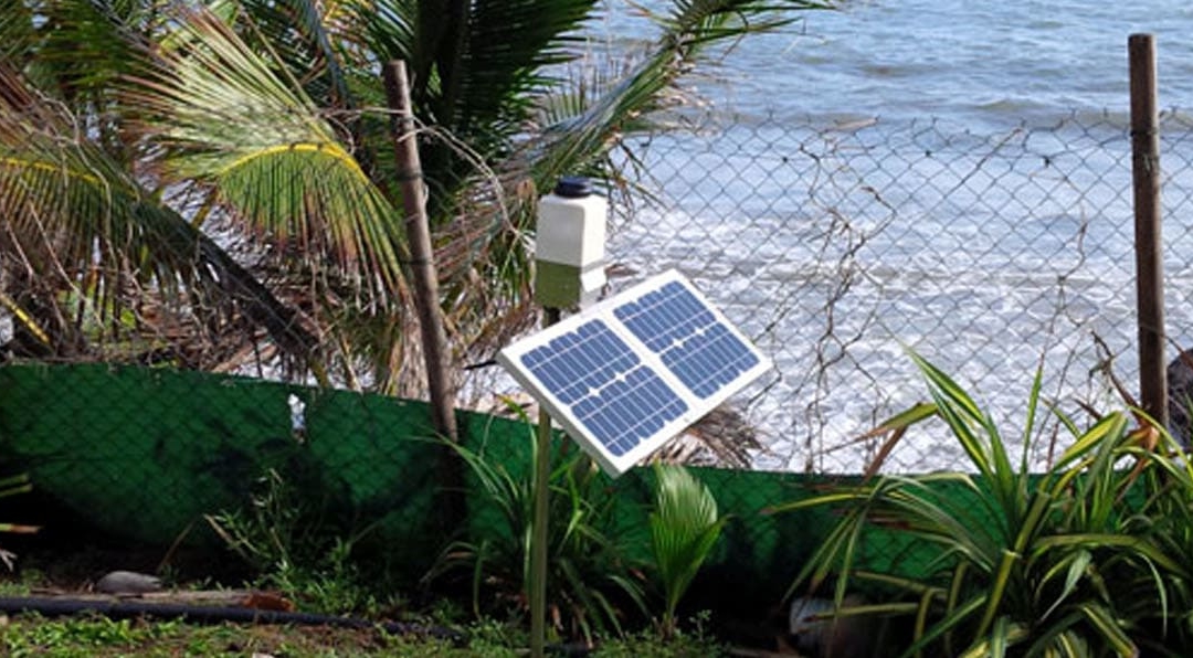 Beaching of Sargassum in Guadeloupe: a network of Cairnet micro sensors maps out the H2S and NH3 emissions